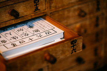 Traditional Chinese Medicine and Europe: A Cross-Cultural Encounter