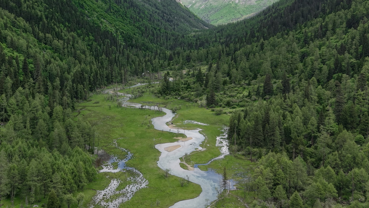 slider image 1621243260e1af0c20-0